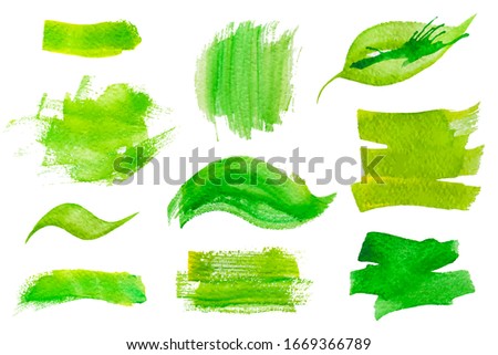 Set of fresh green hand drawn watercolor vector design elements,splashes,stains,dabs,leaf, on the white background for your gesign