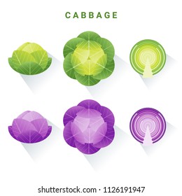 Set of fresh green and red cabbages isolated on white background , vector , illustration