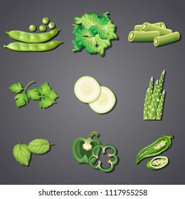A Set of Fresh Green Vegetable illustration