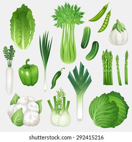 Set of fresh green vegetables. Healthy food vector illustration.