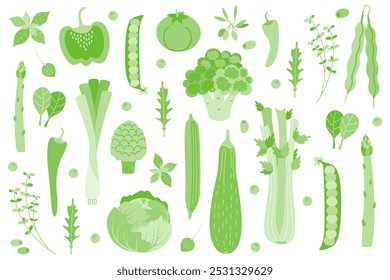  Un conjunto de verduras y hierbas verdes frescas. Brócoli, pepino, apio, espinaca, pimentón, calabacín, alcachofa, guisantes, col rizada, rúcula, tomate, espárragos. El concepto de vida sana y nutrición adecuada