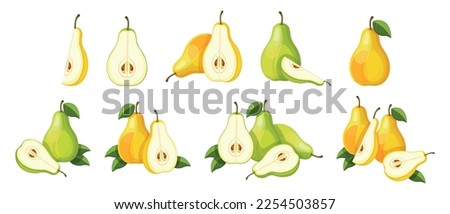 Set of fresh green and yellow pears in cartoon style. Vector illustration of tasty fruits whole and cut, large and small sizes with green leaves isolated on white background.