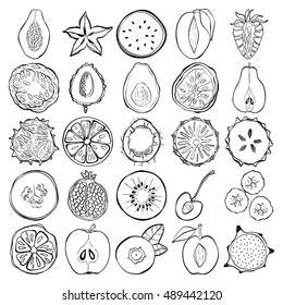 Set of fresh hand drawn exotic fruits and products. Eco healthy food.