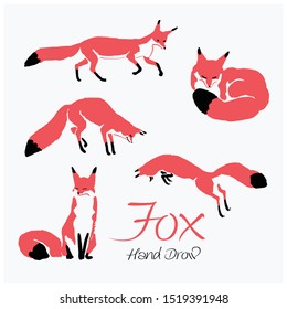 Set of  fresh hand drawn foxes in simple flat style. Isolated vector illustration