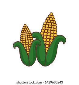 set of fresh and healthy cobs isolated icon