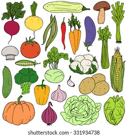 Set of fresh healthy hand-drawing colorful vegetables isolated on white background. Flat design. Organic farm illustration. Healthy lifestyle vector design elements. 