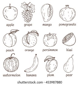 Set of fresh healthy hand-drawing fruits isolated.  Organic farm illustration. Healthy lifestyle vector design elements. 