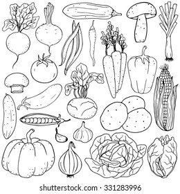 Set of fresh healthy hand-drawing vegetables isolated on white background.  Organic farm illustration. Healthy lifestyle vector design elements. 