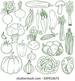 Set of fresh healthy hand-drawing vegetables isolated on white background. Flat design. Organic farm illustration. Healthy lifestyle vector design elements. 