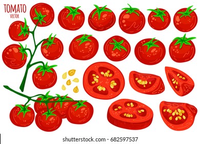 Set of fresh healthy red tomatoes isolated on white. Whole, sliced, quarter, half of a tomato fruit. Vegetable from the farm. Organic food. Simple cartoon flat style, vector illustration.