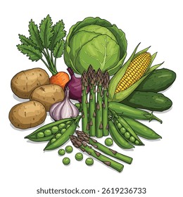 Set of fresh healthy vegetables, Flat design. Organic farm illustration. Healthy lifestyle vector design elements.
