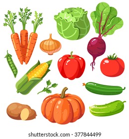 Set of fresh healthy vegetables. Modern flat style realistic vector illustration icons isolated on white background.