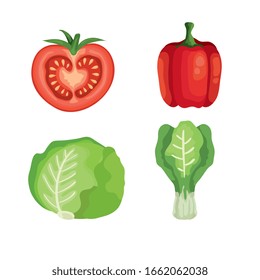 set of fresh and healthy vegetables vector illustration design