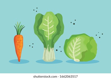 conjunto de diseños de ilustración vectorial de hortalizas frescas y sanas