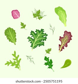 Set of fresh herbs on a white background, popular culinary plants, natural health care elements. Stock vector art isolated