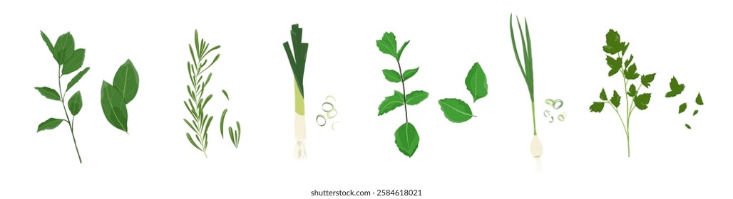 Set of fresh herbs and spice. Onion, parsley, rosemary and more. Bits of herbs. Vector. Flat cartoon style. 