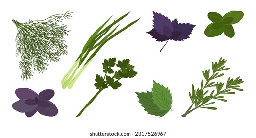 A set of fresh herbs and spices. Isolated on a white background. Menu design of cafe, bar, restaurant, snack bar. Vector flat illustration.