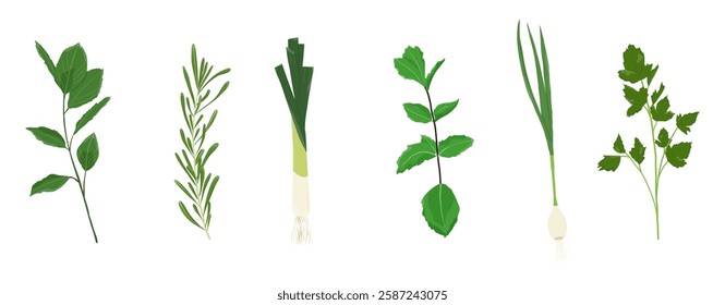 Set of fresh herbs and spices. Onions, parsley, rosemary and more. Vector. Flat cartoon style.