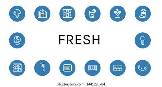 Set of fresh icons such as Salad, Greenhouse, Honeycomb, Cuba libre, Cocktail, Bread, Toothbrush, Soap, Sauces, Egg carton, Banana, Sour cream, Celery , fresh
