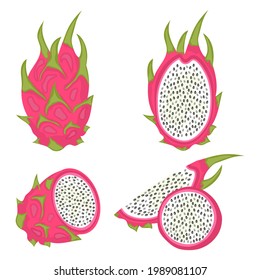 Set of fresh juicy dragon fruits with slices vector illustration