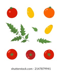 A set of fresh, juicy tomatoes. The set includes red and yellow tomatoes, cherry tomatoes, leaves. Healthy, natural food. Flat cartoon colorful illustration