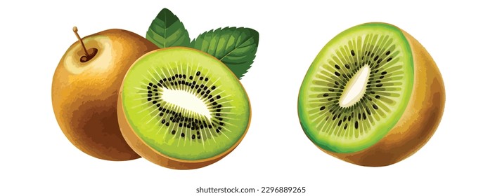 Conjunto de frutos de kiwi frescos, ilustración de corte aislada en fondo blanco