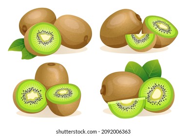 Set of fresh kiwi fruit whole, half and cut slice illustration isolated on white background