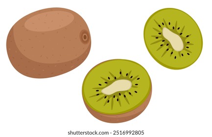 Conjunto de kiwi fresco inteiro, metade e fatia. Ilustração vetorial isolada