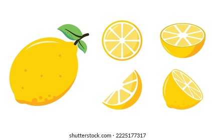 set of fresh lemon vector illustration design template