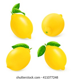 Set fresh lemons isolated on white background. Realistic vector illustration.