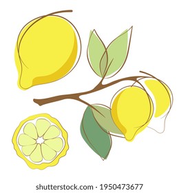 Set of fresh lemons with leaves. Outline doodle, cartoon flat style. Abstract vector illustration.