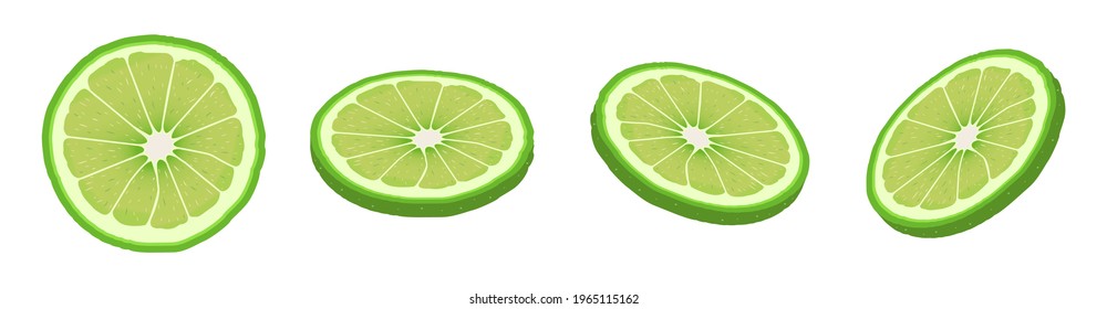 Set of fresh lime slices isolated on white background. Organic fruits. Cartoon style. Vector illustration for design.