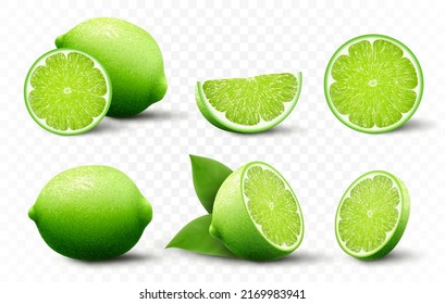 Set of fresh Lime. Whole, half, cut slice lime fruits isolated on transparent background. Summer citrus for healthy lifestyle. Organic fruit. Realistic 3d Vector illustration for any design.