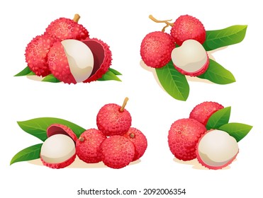 Set of fresh lychee fruit illustrations isolated on white background