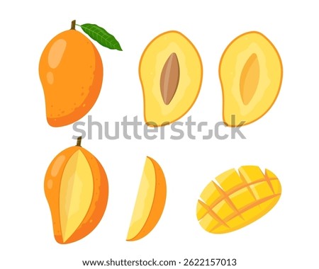 Set of fresh Mango fruit icons. Whole and half cut mango and pieces. Tropical fruits for juice, smoothie or vitamin healthy food. Vector illustration isolated on white background.