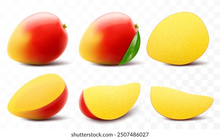 Set of fresh mango fruit. Whole and slice mango fruit with leaf. Exotic mango fruit isolated on transparent background. Summer tropical vitamin food. Realistic 3d vector illustration