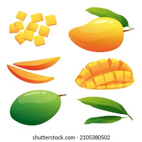 Conjunto de frutos de mango frescos, todo, mitad y cúbicos ilustraciones aisladas en fondo blanco