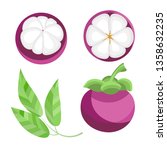 Set Fresh Mangosteen Fruit Queen on a white background. Whole, sliced and halved Mangosteen graphics. Vector illustration.