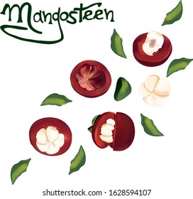 Set of fresh mangosteen in motion on white background. 3D realistic mabgosteen. Whole and halves mangosteen with green leaf. Top view. Vector illustration.