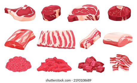 Set of fresh meat. Different parts of animal meat beef and pork. Vector illustration