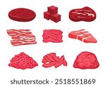 Set of fresh meet cartoon collection, Assortment of meat slices of dish. Minced meat, diced raw beef, chopped cube lamb product uncooked forcemeat from grinder, isolated on white background.