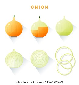 Set of fresh onions isolated on white background , vector , illustration