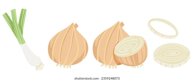 Conjunto de cebollas frescas, cebollas amarillas cortadas y cebollas verdes.  ilustración vectorial aislada en fondo blanco.