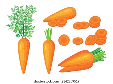 Set of fresh orange carrots in cartoon style. Vector illustration of vegetables whole and cut into slices and halves, with a leaf on white background.