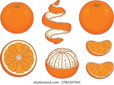 Set of fresh orange fruit elements including whole segments and spiral peel isolated on white background digital art