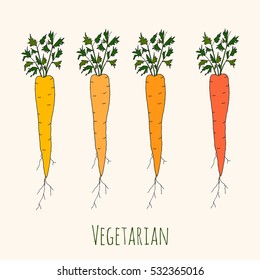 Set of fresh orange ripe carrots. Hand drawn vector illustration isolated on white background. Vegetarian eco food product, organic, vegan nutrition. For recipe book or menu cover.