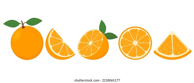Set of fresh oranges. Orange fruit isolated on white background. Vector illustration for design and print