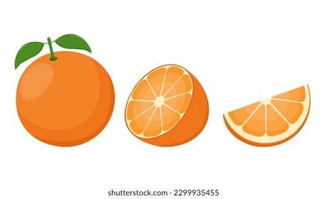 Set of fresh oranges. Orange fruit isolated on white background. Vector illustration for design and print