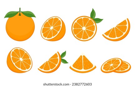 Set of fresh oranges. Orange fruit isolated on white background. Vector illustration for design and print