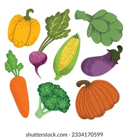 Set of fresh organic farm vegetables. Healthy vegetarian food. Autumn harvest of pumpkin, carrot, corn, pepper, broccoli. Colored flat vector illustration of veggies isolated on white background